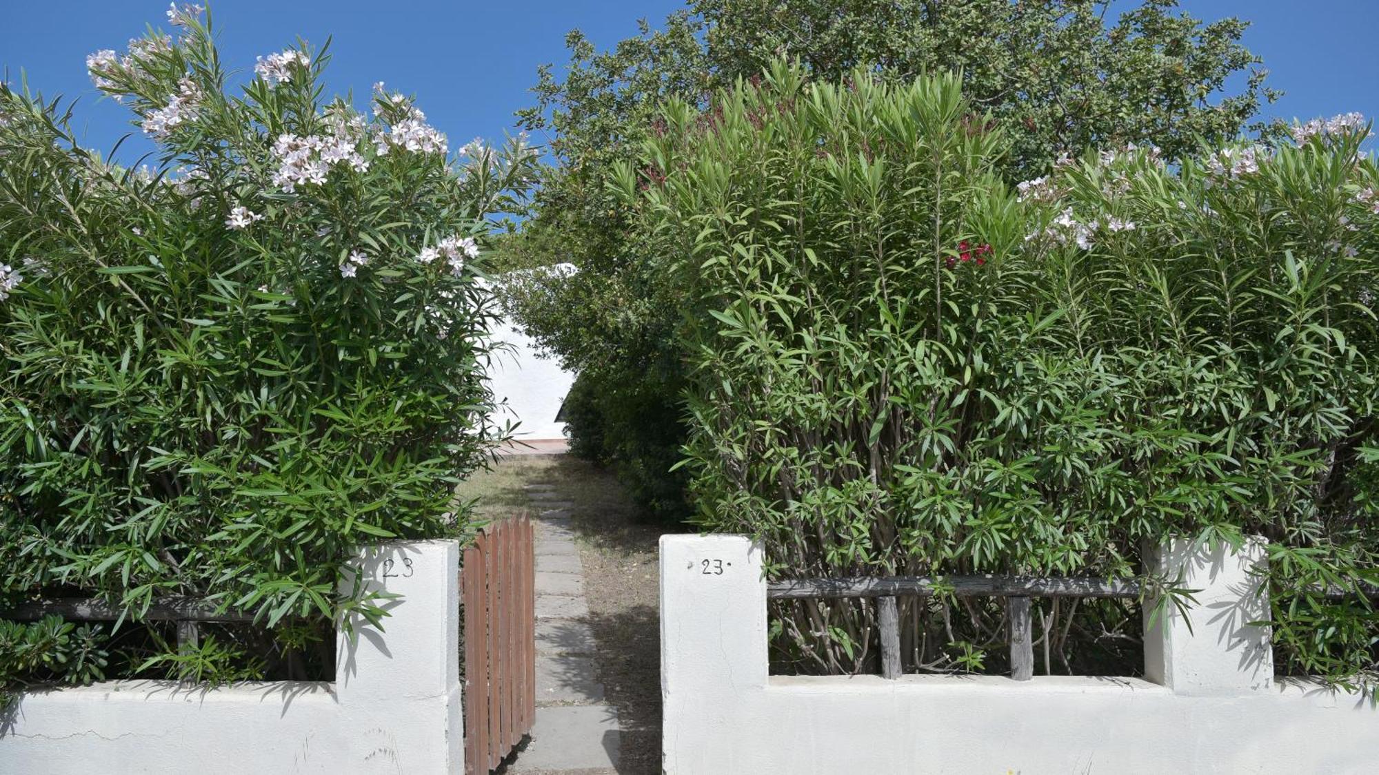 Welcomely - Villa Adele Costa Rei Exterior foto